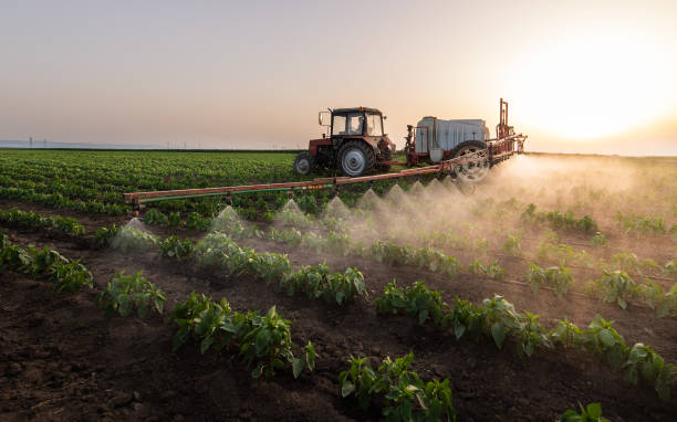 Best Pest Inspection Near Me  in Waseca, MN